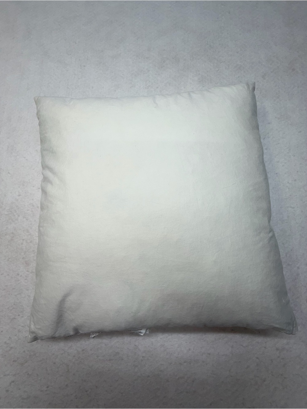 Pottery Barn Down Feather 20”x 20” Decorative Throw Pillow Insert - Set of 2